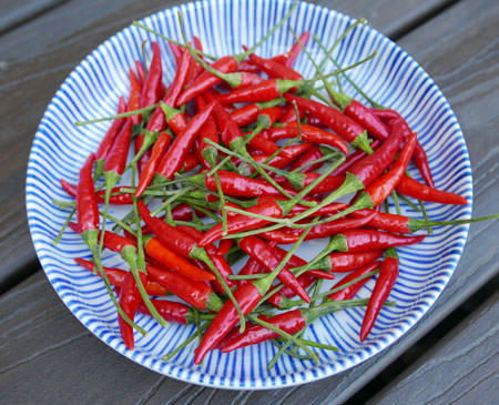 新鲜的红色泰国智利胡椒