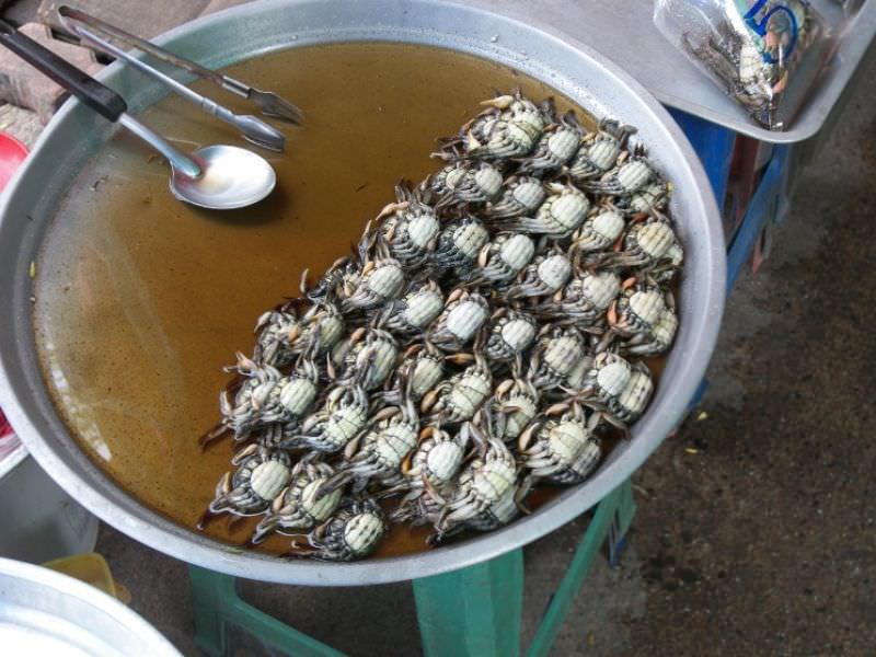 泰国风格的螃蟹和洋葱，'Bu Pad Hom Yai'