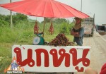 泰国公路小贩在稻田里卖老鼠、青蛙、鸡和蛇