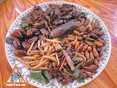 泰国昆虫 - 泰国受欢迎的零食食品