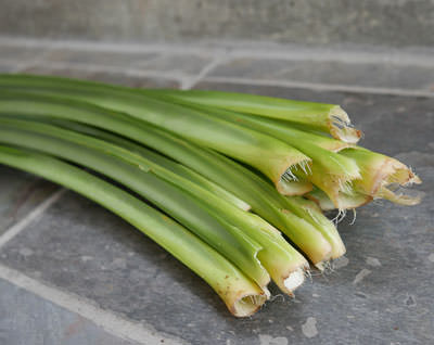 Fresh Pandan Leaves