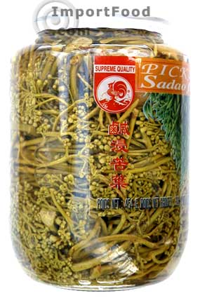 泰国萨达（Sadao），16盎司罐子