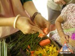 泰国蔬菜货车-Carrot-flower-02.jpg